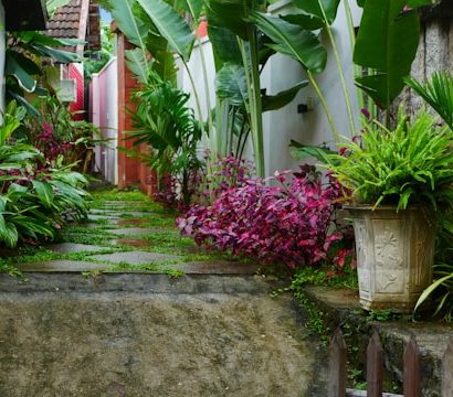 jardin exotique d'Éze