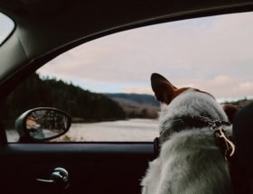 système Isofix