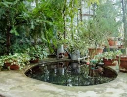 bassins de jardin