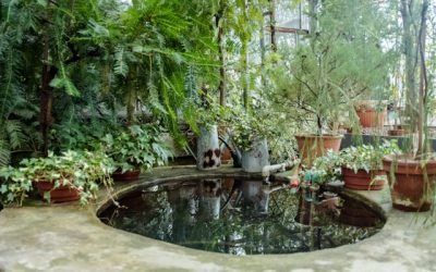 bassins de jardin
