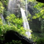 Tourisme et nature