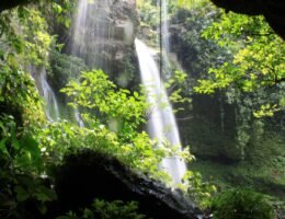 Tourisme et nature