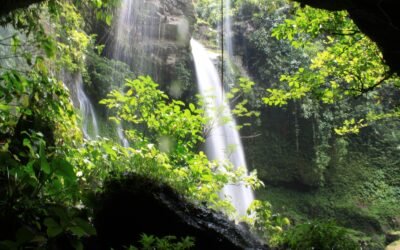 Tourisme et nature