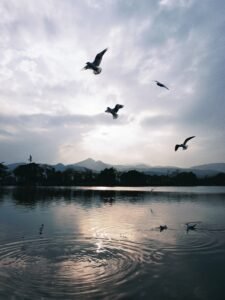 Tourisme et nature