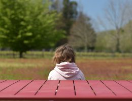 a little girl sitting at a red picnic table
