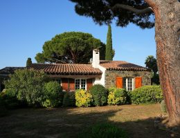 a house with red shutters and a tree in front of it