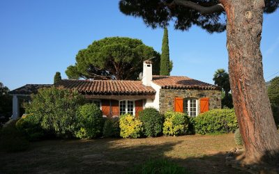a house with red shutters and a tree in front of it