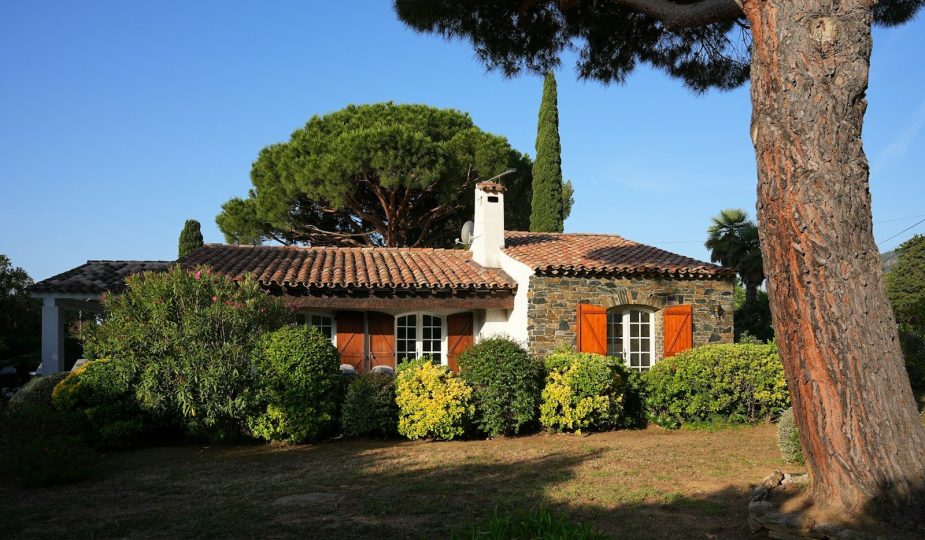 a house with red shutters and a tree in front of it